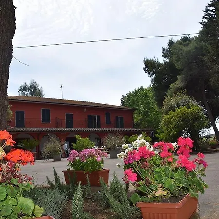 Il Bracconiere